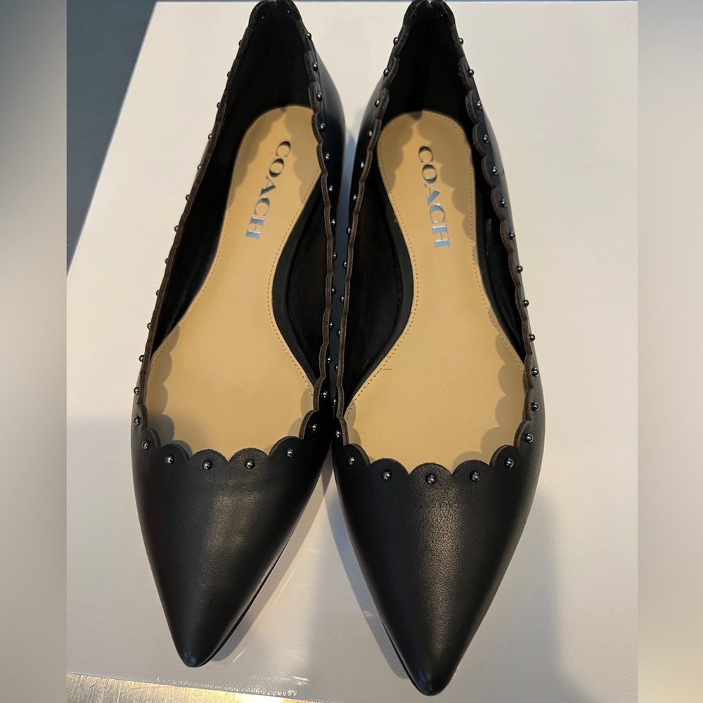 NWT Coach pointy toe flats